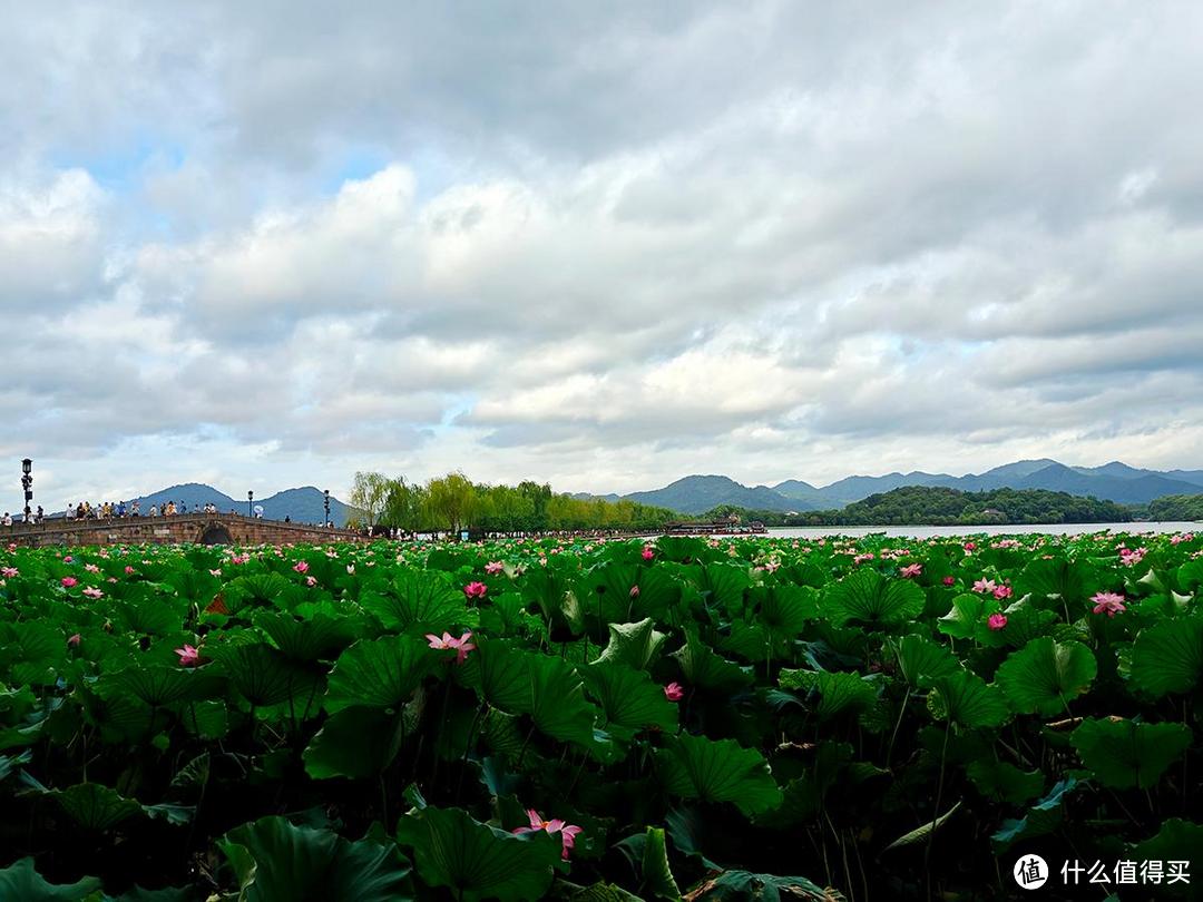 出游随拍，夏日烟雨蒙蒙的西湖美景尽收眼底