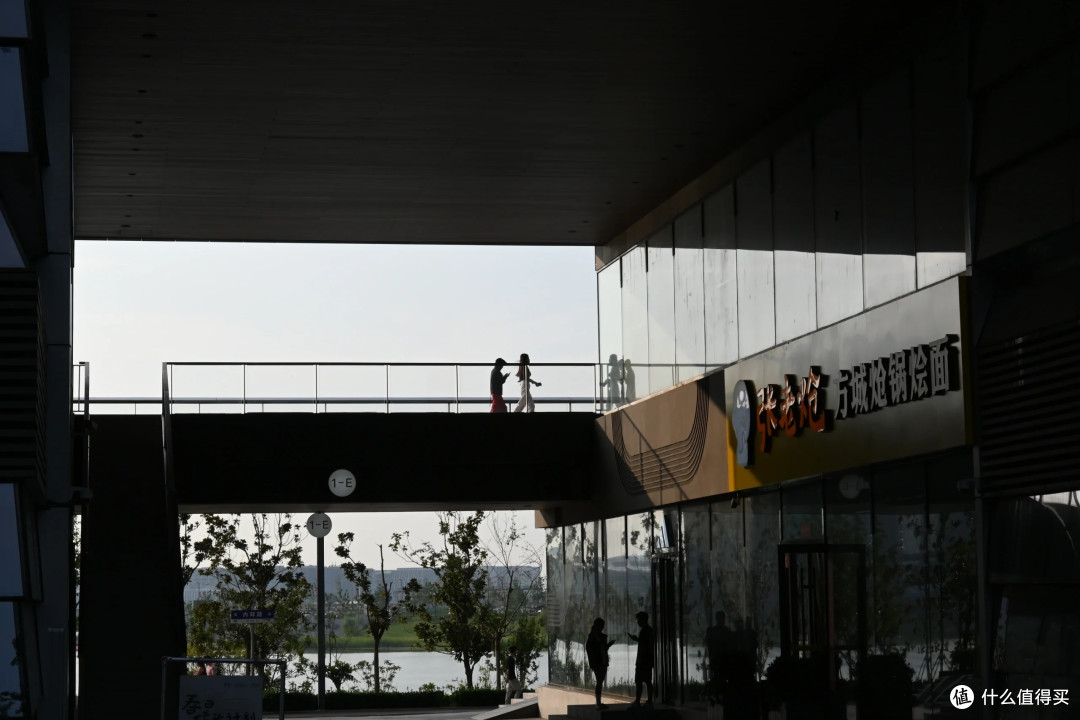 Nikon Zfc初体验：功能与设计的平衡