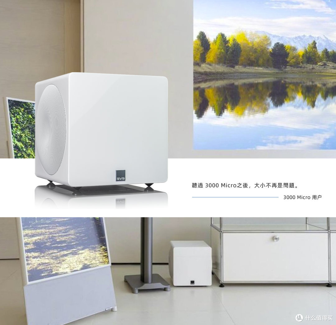 SVS 3000 Micro:小身材,大能量——你的家庭影院新宠