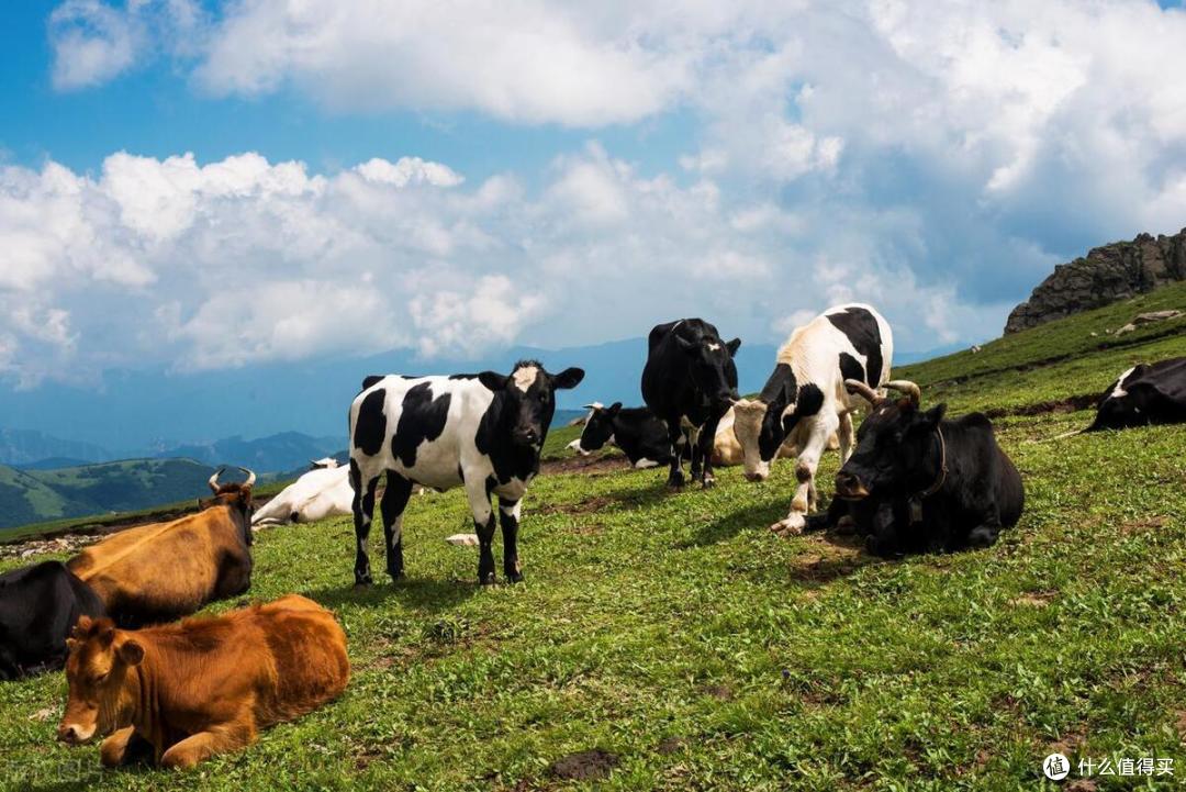 盘点全国著名山川,之华北区北京、天津