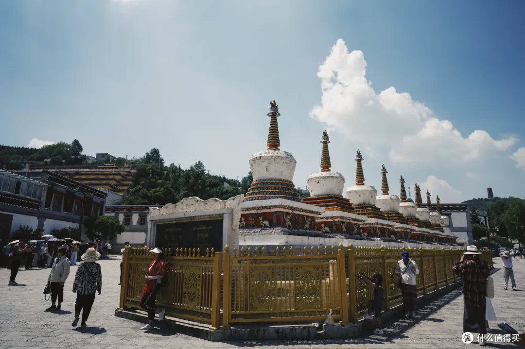 重磅推荐!暑期去大西北旅行,选她选她还选她
