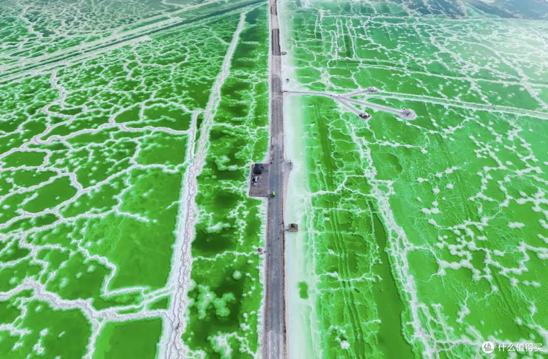 重磅推荐!暑期去大西北旅行,选她选她还选她