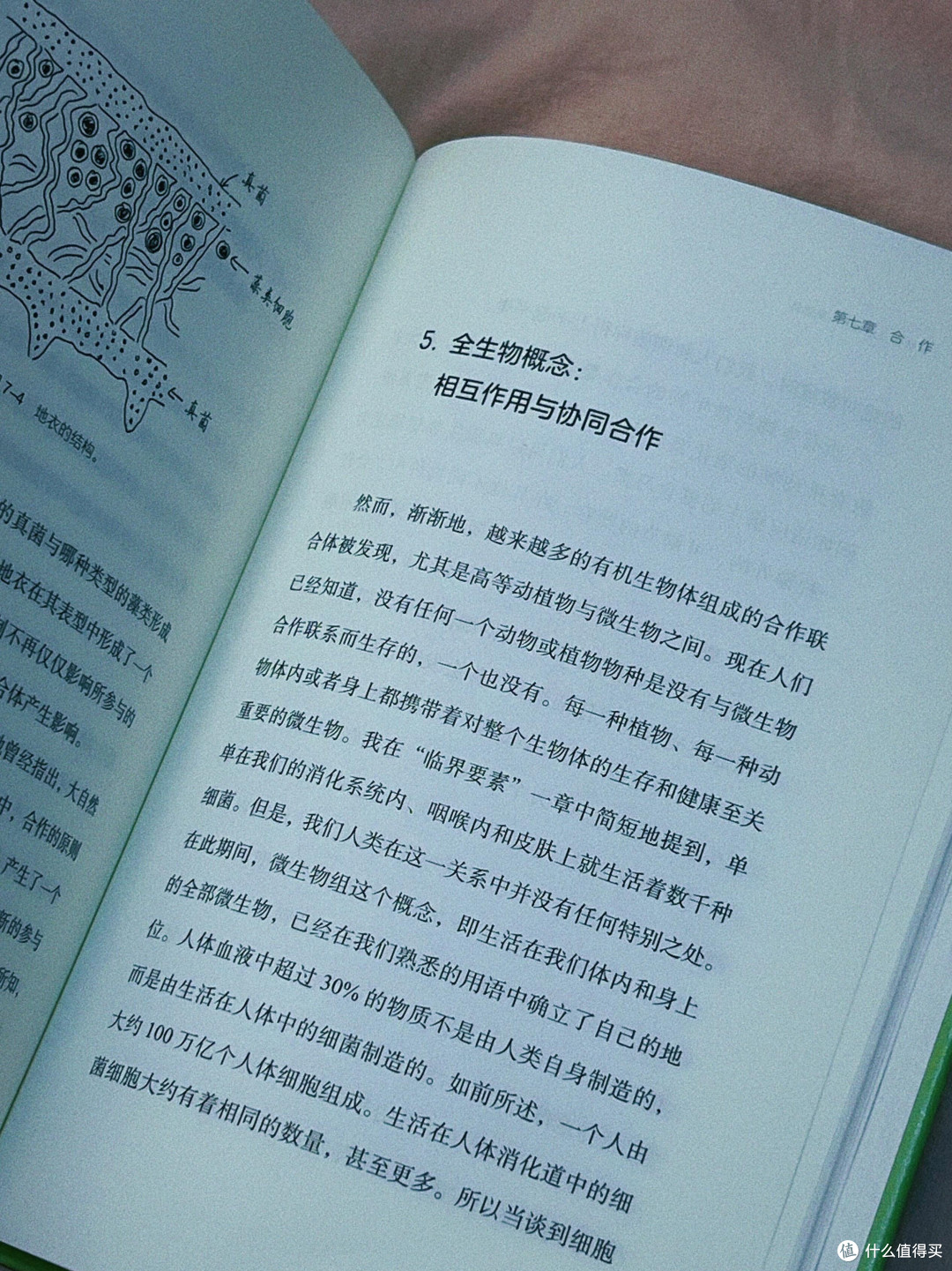 “跳进爱丽丝的兔子洞”,任何一个小的变化都可能会引起整体的变化
