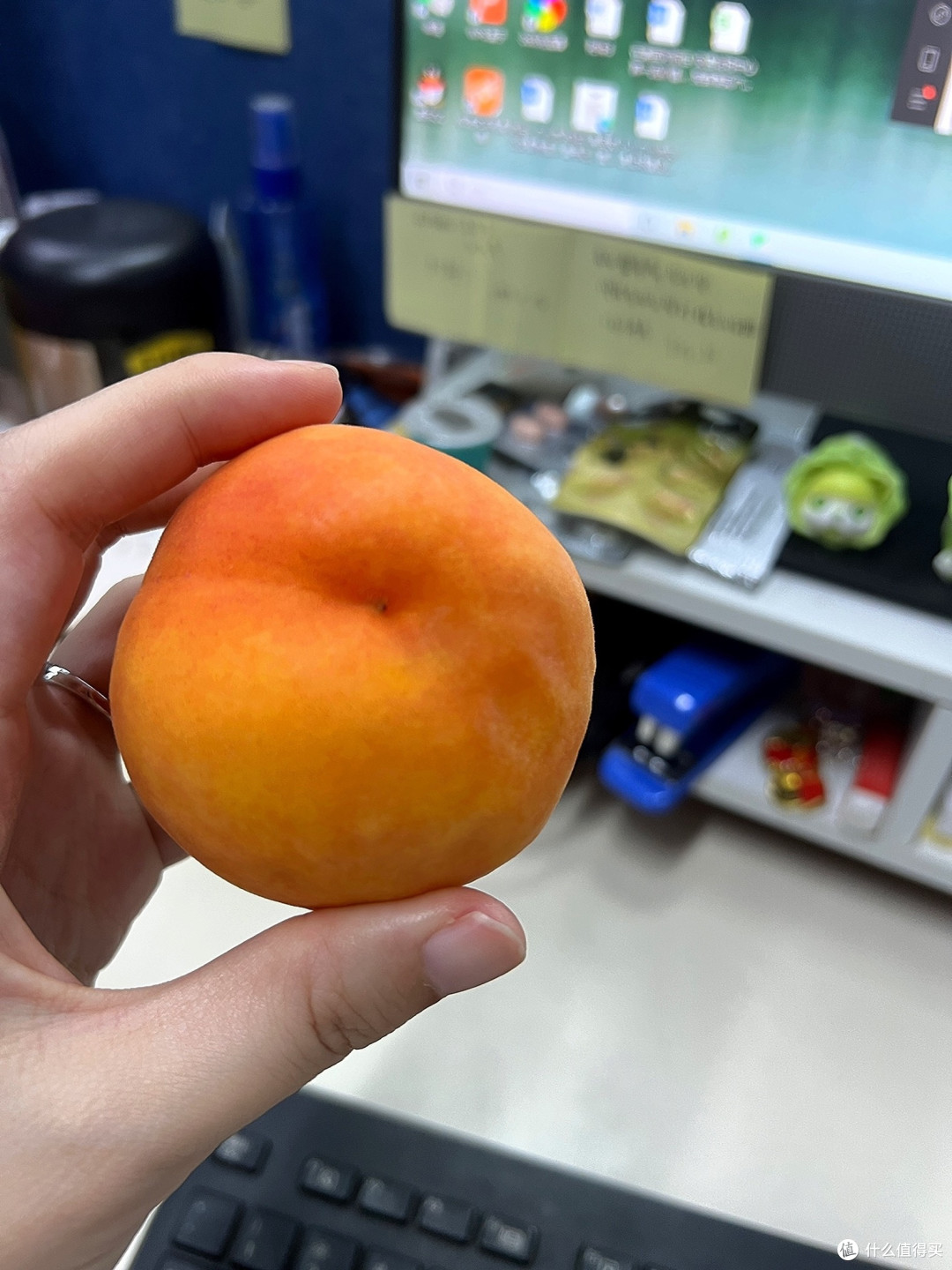 认证挑战赛,吃黄桃的季节到啦