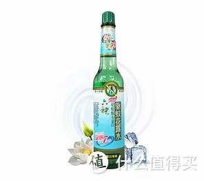 夏季，和带着神秘色彩的佛罗里达水邂逅吧，你知道它有多少姊妹？