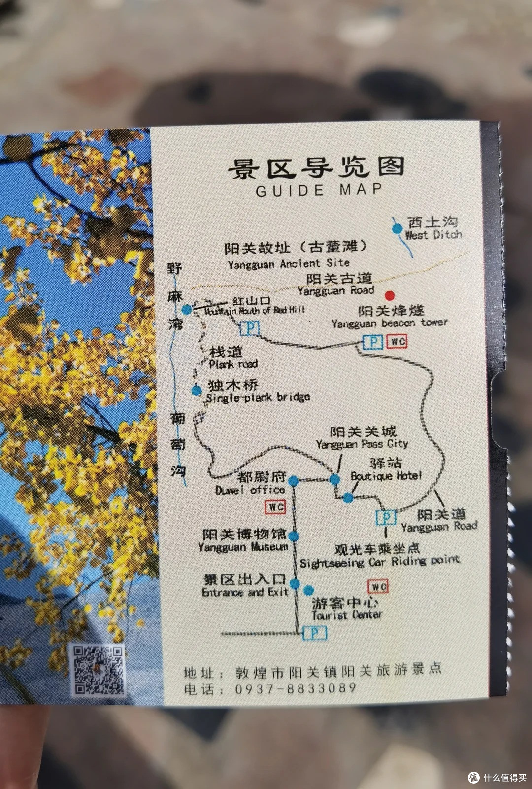 丝路之路|大自然的鬼斧神工一梦入敦煌 一眼望千年(一)