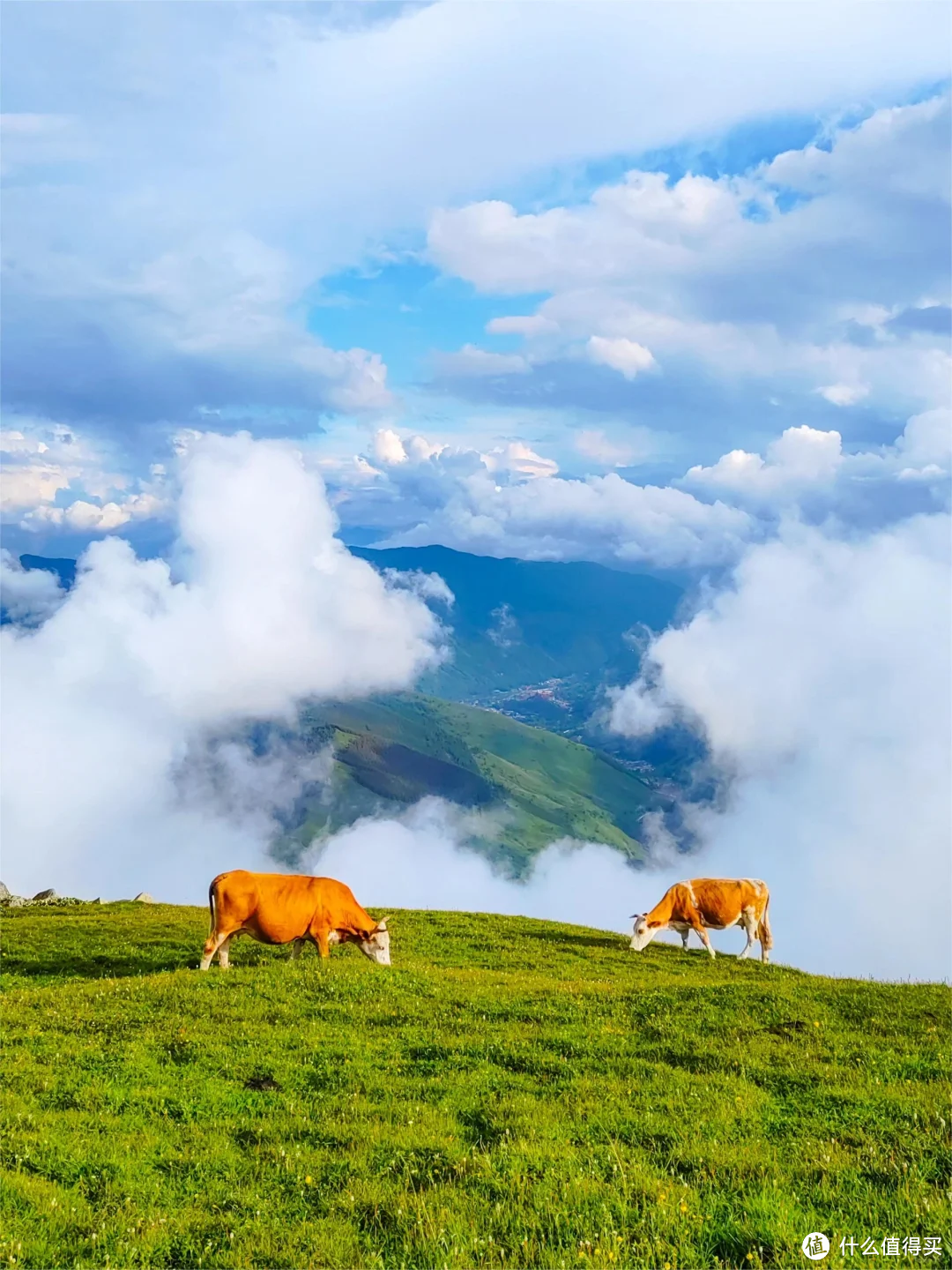 盘点全国著名山川之山西