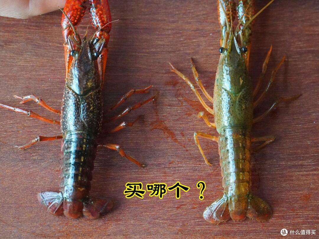 买小龙虾,选择红色还是青色好?想知道就来看看,保准不吃亏
