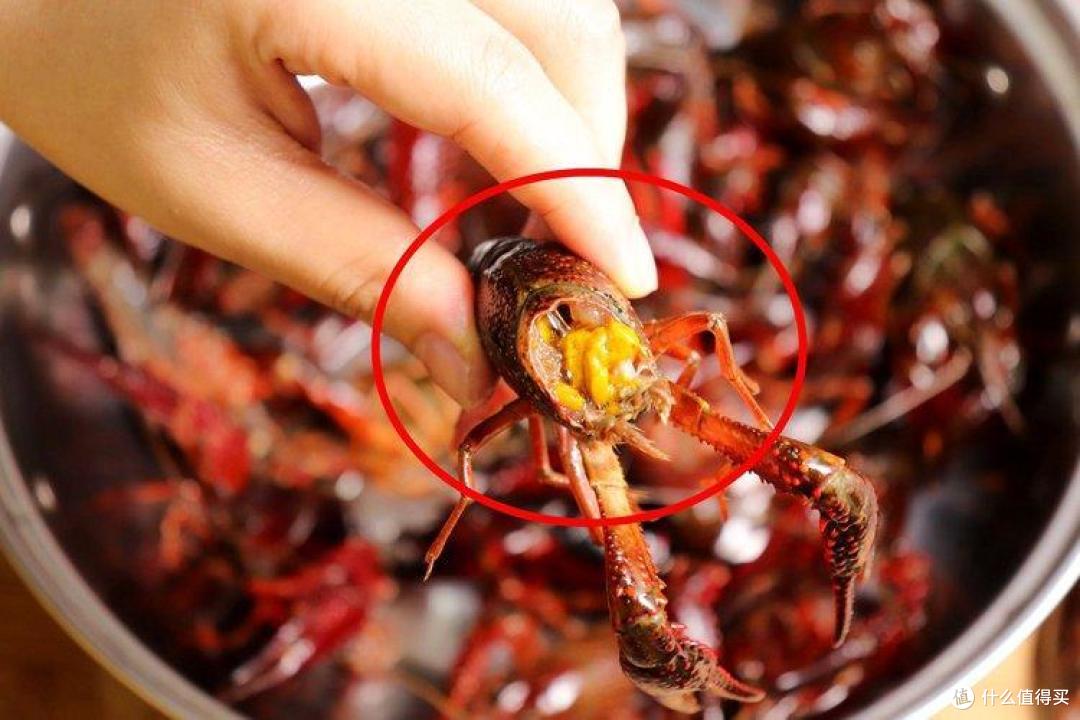 买小龙虾,选择红色还是青色好?想知道就来看看,保准不吃亏