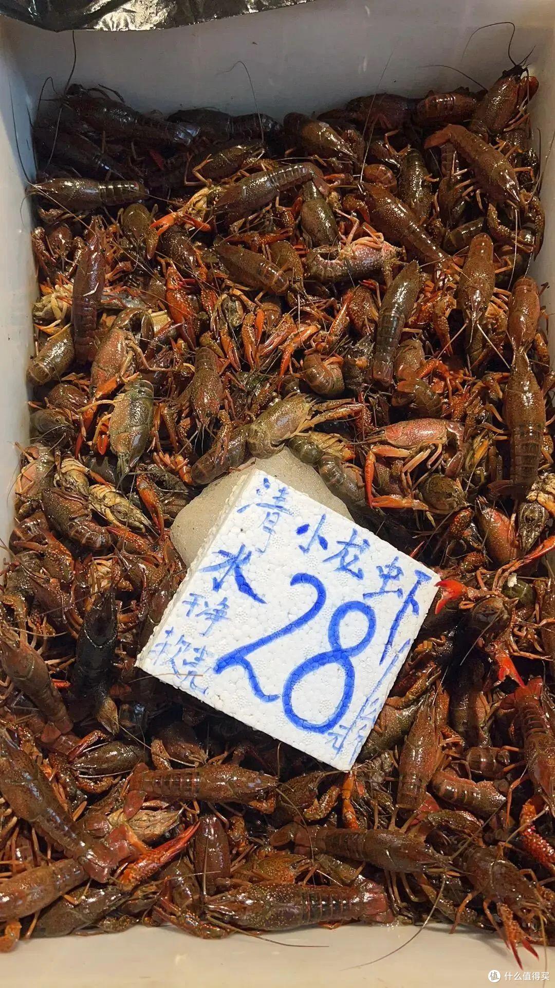 买小龙虾,选择红色还是青色好?想知道就来看看,保准不吃亏