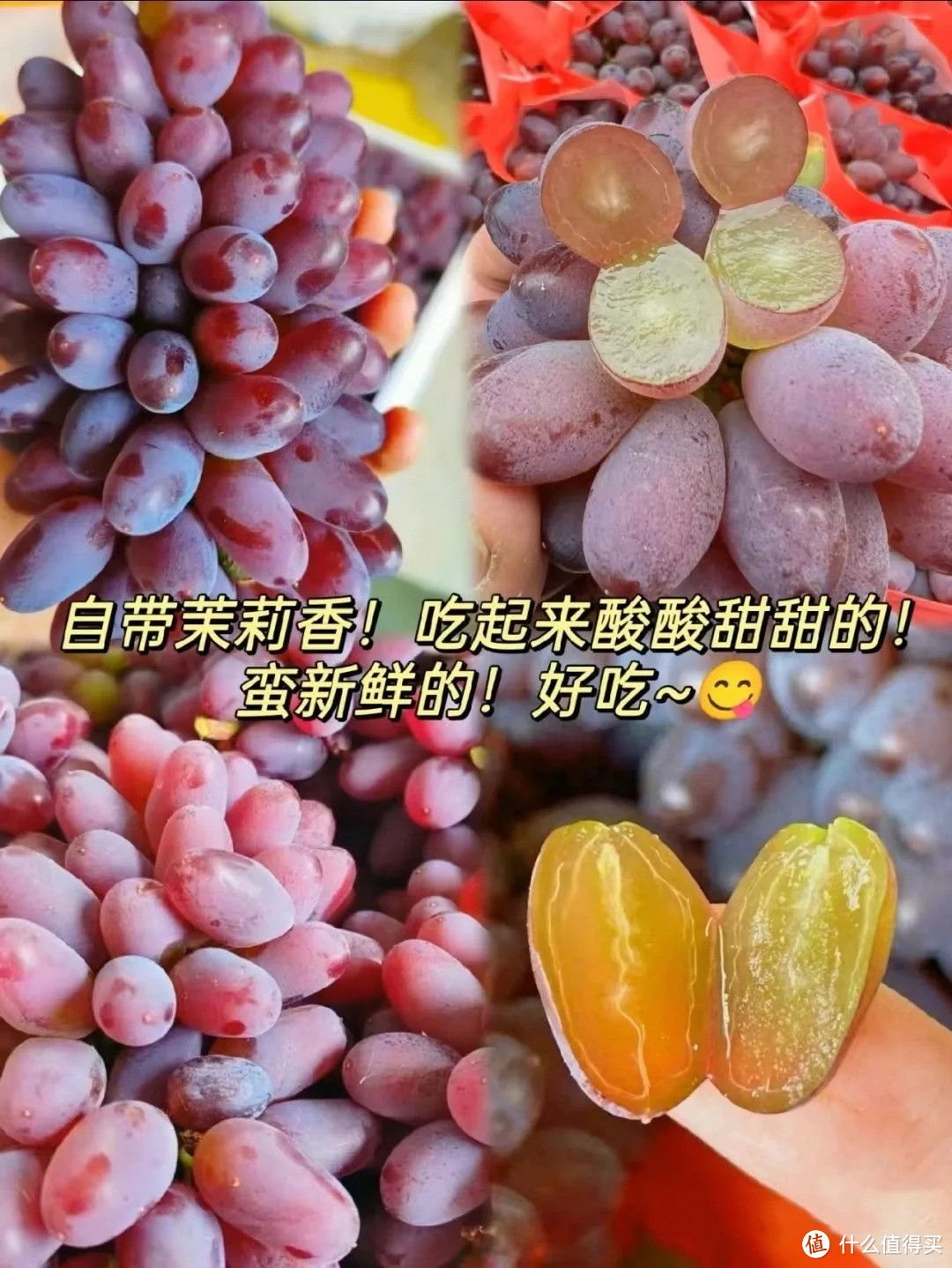 常见葡萄大集合，爱吃葡萄的看过来（全集）