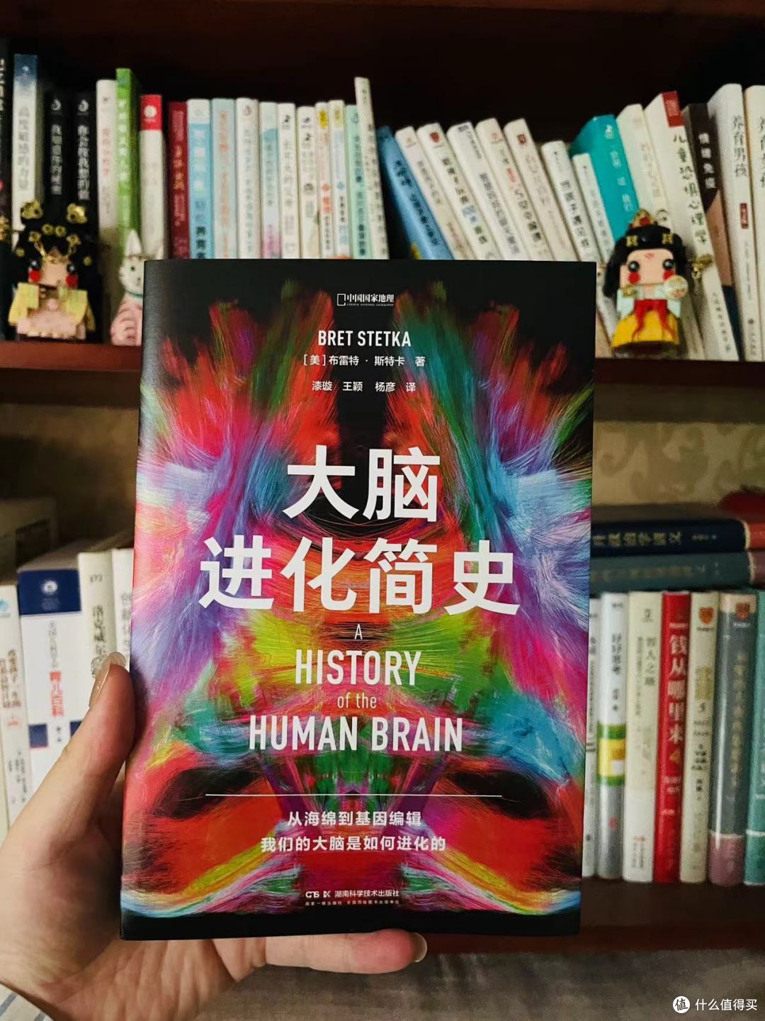 一本书了解人类的大脑进化史,科普书极度好读,按头安利!