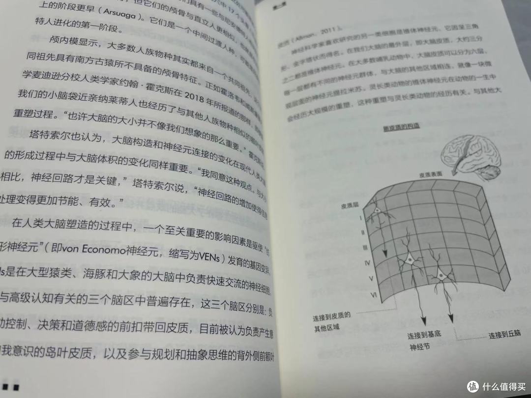 一本书了解人类的大脑进化史,科普书极度好读,按头安利!