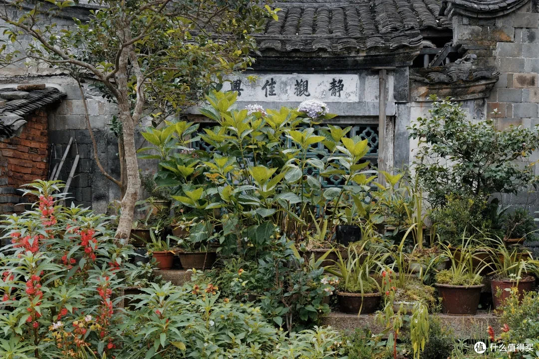 闽西不为人知的古村,动车可达,趁还没火赶紧去
