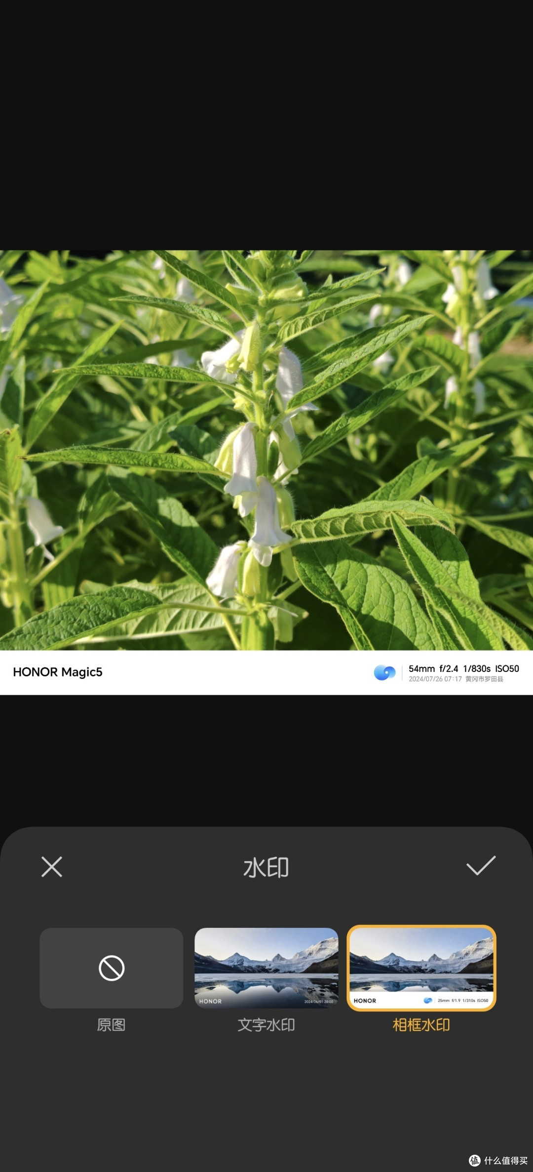 这功能太爱了!荣耀手机的水印编辑真的强…
