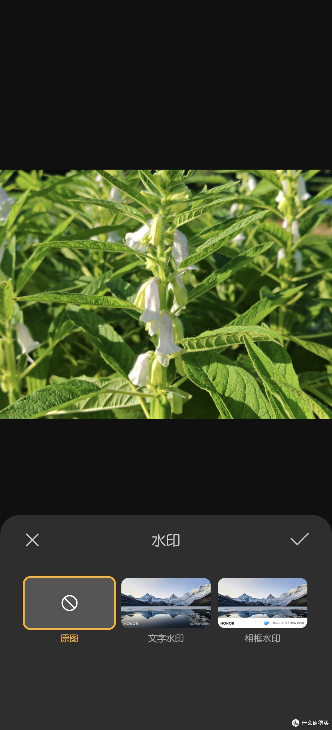 这功能太爱了!荣耀手机的水印编辑真的强…