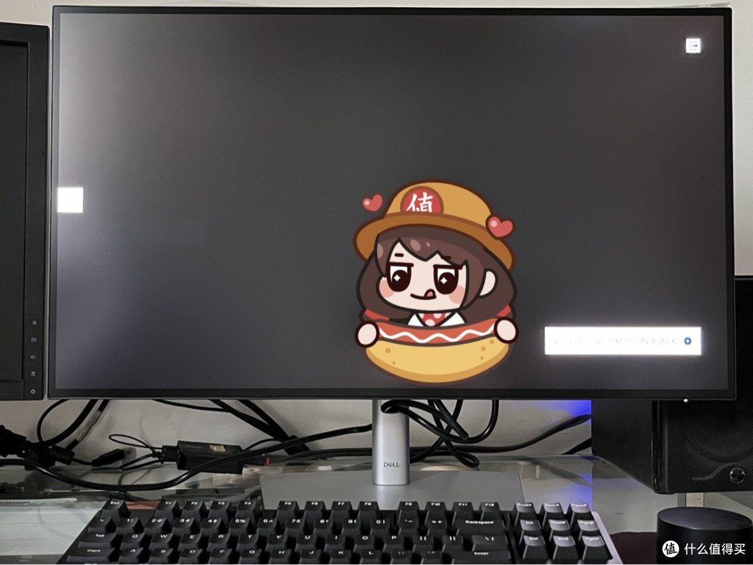 白天检测黑屏