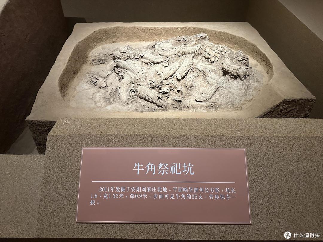 安阳殷墟不止伟大的商文明与甲骨文,还有民国大总统