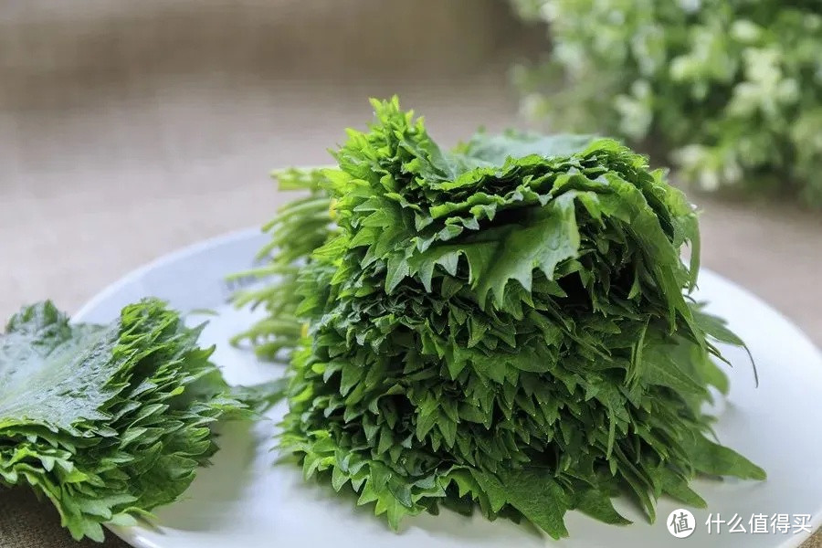 "夏日养生食谱：夏至时节的健康美食指南"