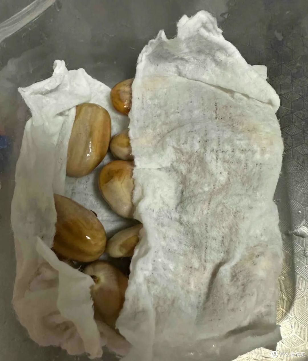 我在工位上“水培水果”,同事争相效仿,老板:送我一盆