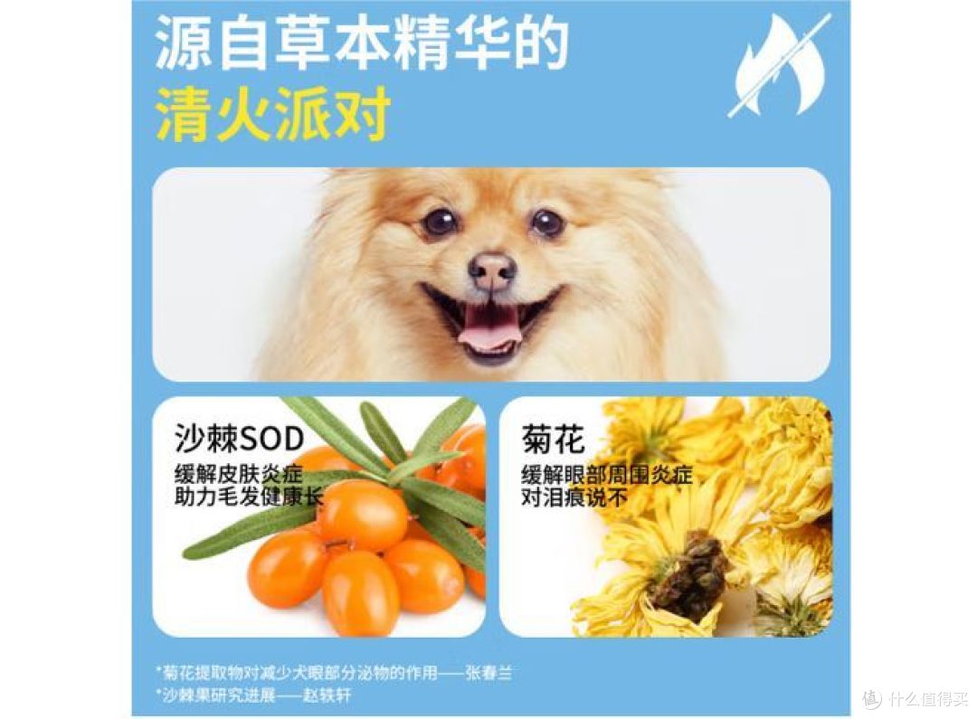 三伏天, 狗粮如何选择?看这里,全攻略!