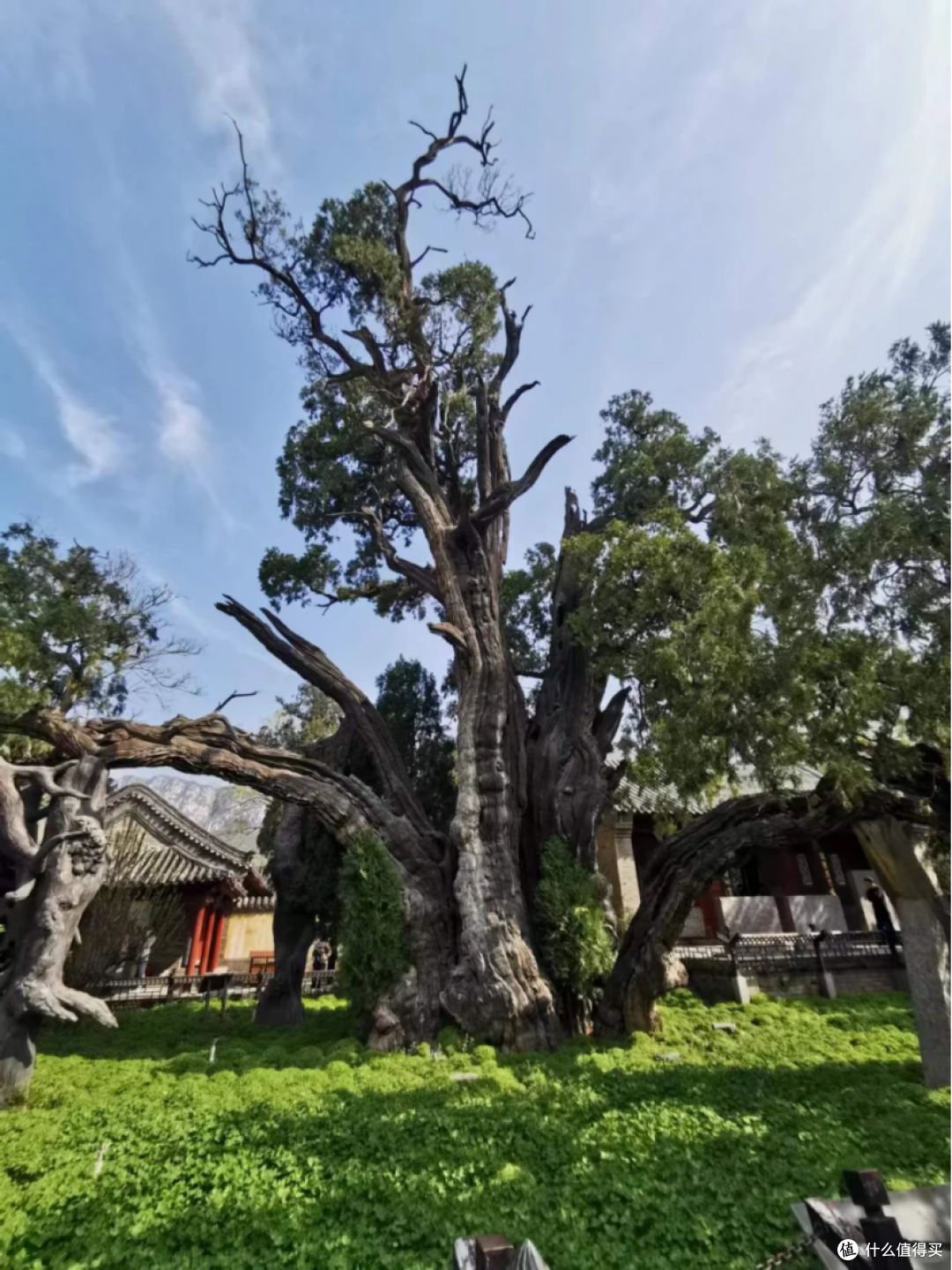 盘点全国著名山川之河南