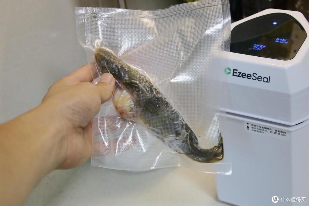 安全又好用+立式滚轮连续封口设计,EzeeSeal真空封口机体验