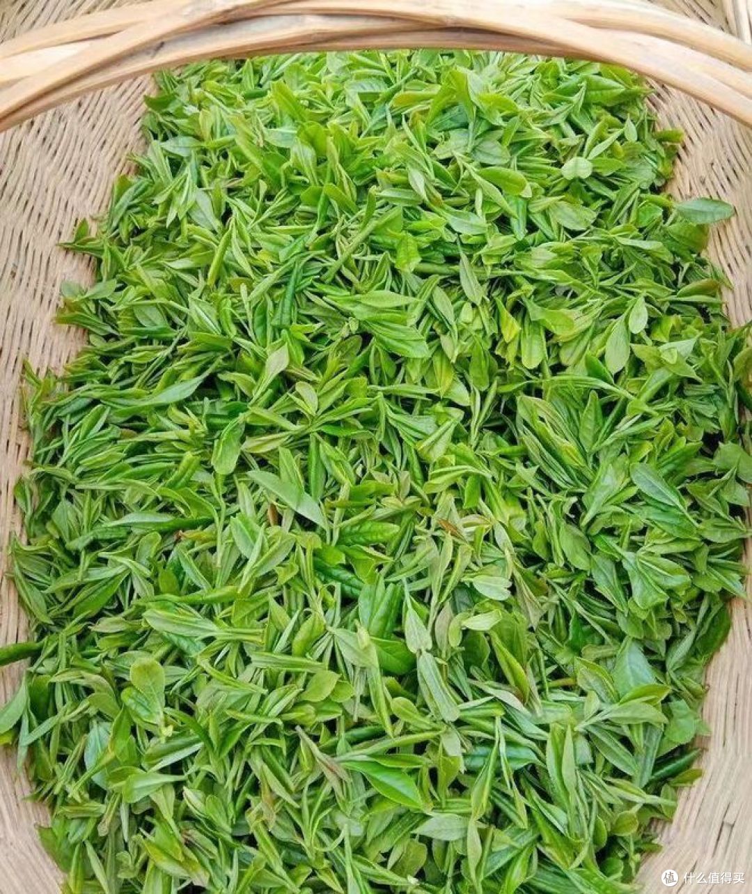 便宜茶叶与贵茶叶的区别？