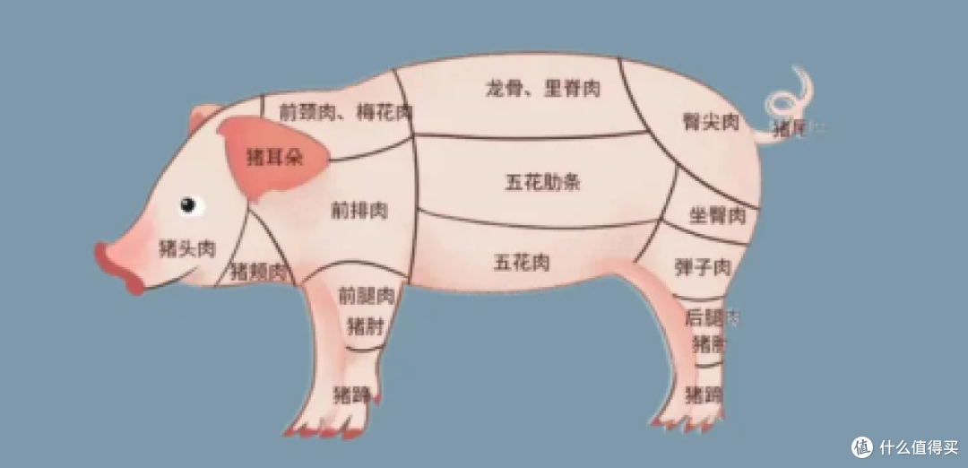 权威猪肉挑选攻略:带你解锁优质猪肉🐖