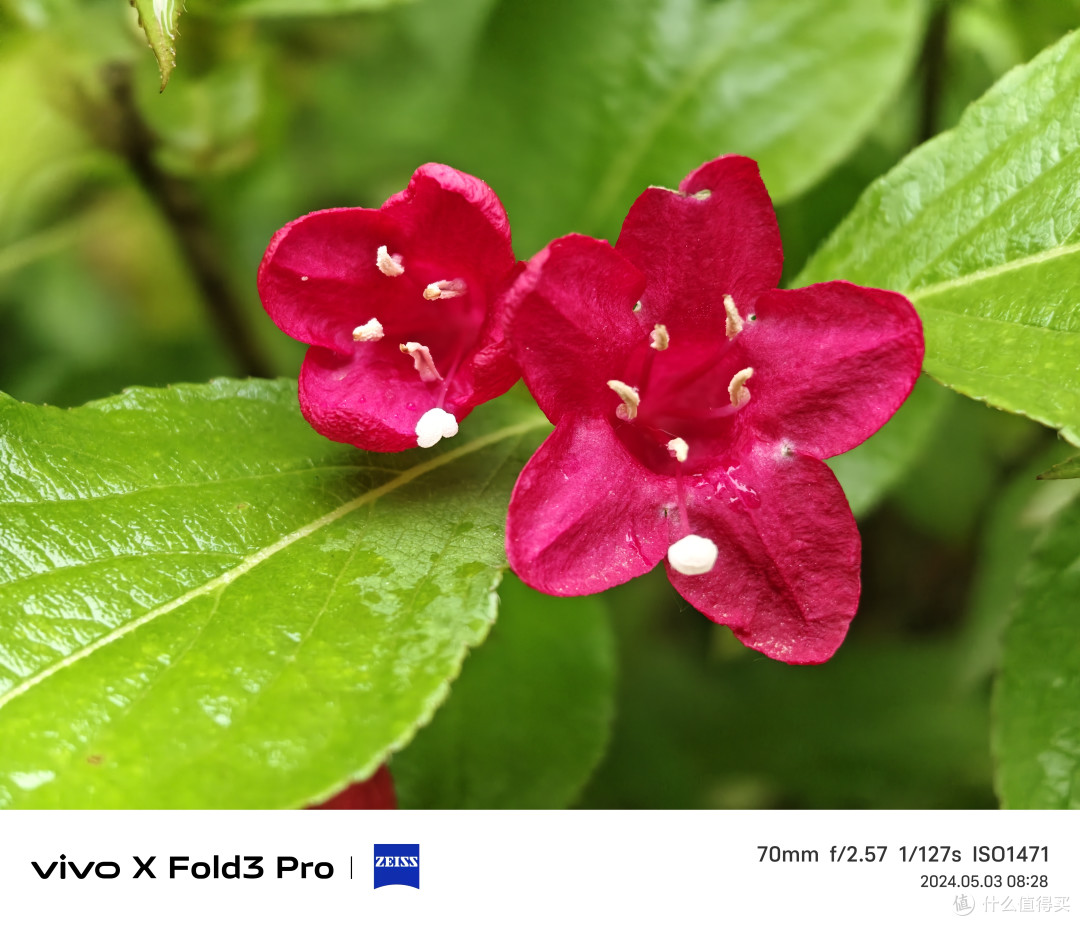 不吹不黑!花1万多买的vivo X Fold3 Pro怎么样?用了小半年说说感受
