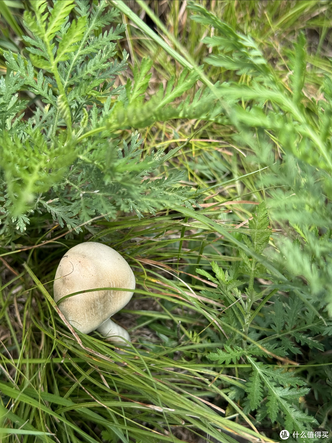 趁还没火，赶快去这个宝藏徒步路线