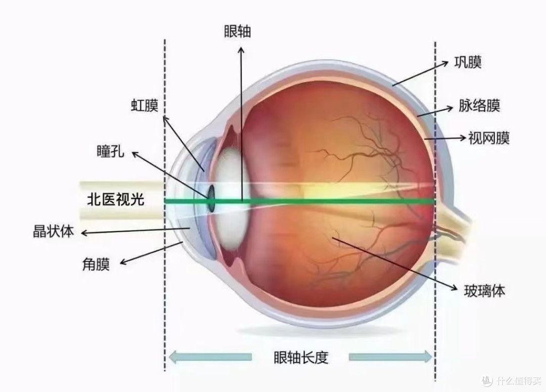 长期坚持跑步的好处