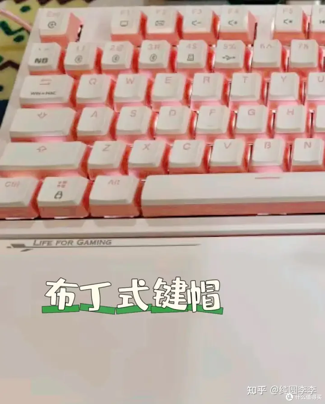 在宿舍可以用的,兼顾打字和游戏的机械键盘来啦!