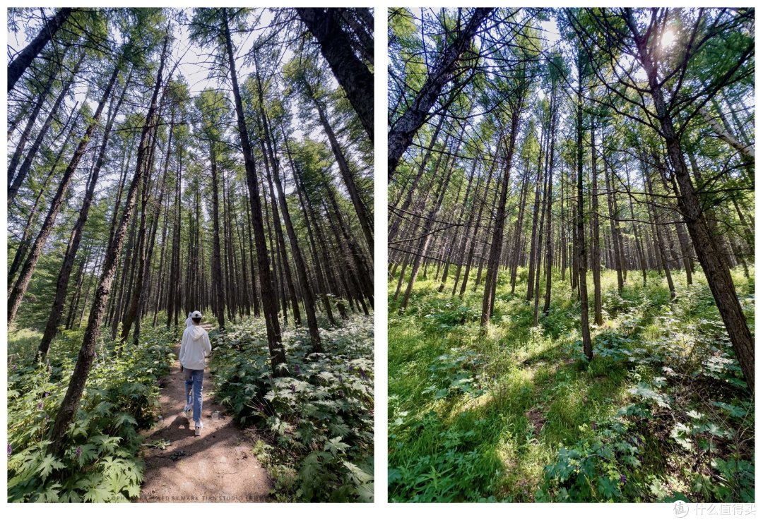 19度的夏天，崇礼四座小镇深度体验，更多旅游路线分享，让你暑期带娃不愁