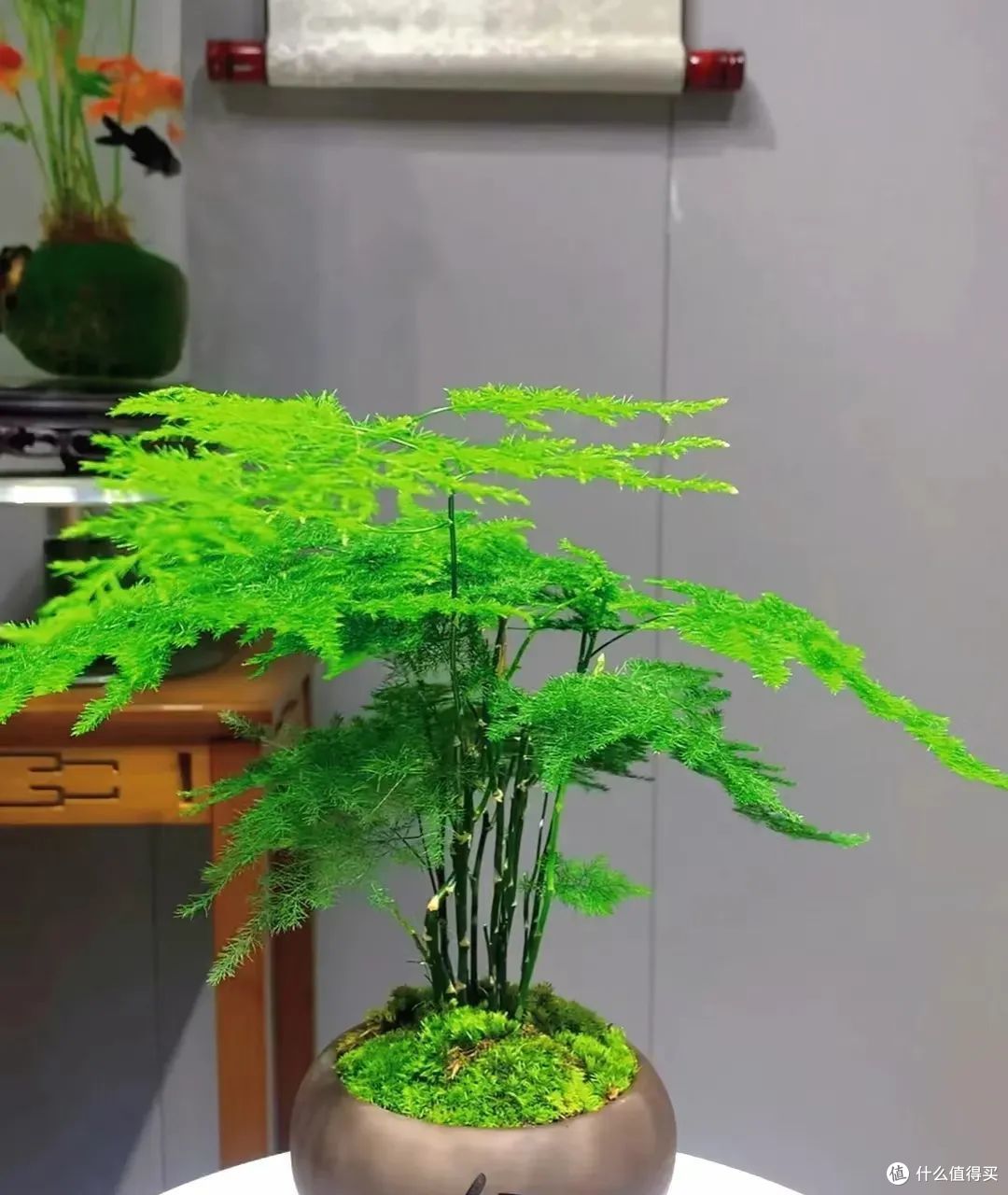 立秋后,这7种花赶紧“剃光头”,剪的狠长得旺,千万别舍不得!