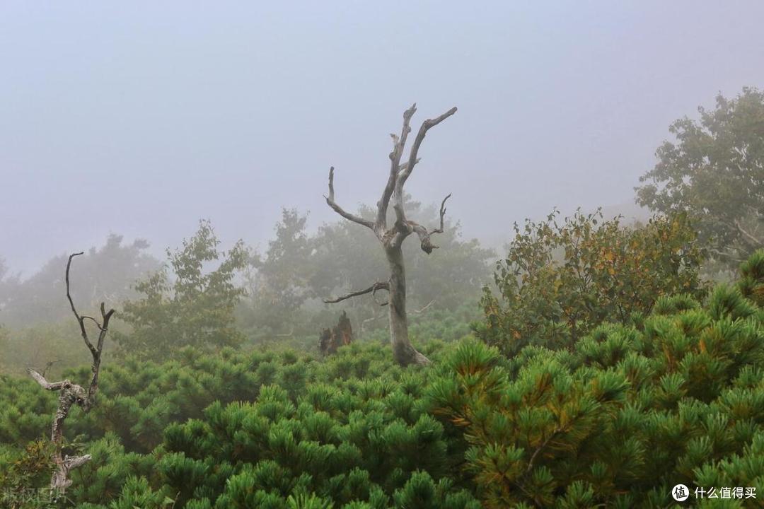 盘点全国著名山川之吉林