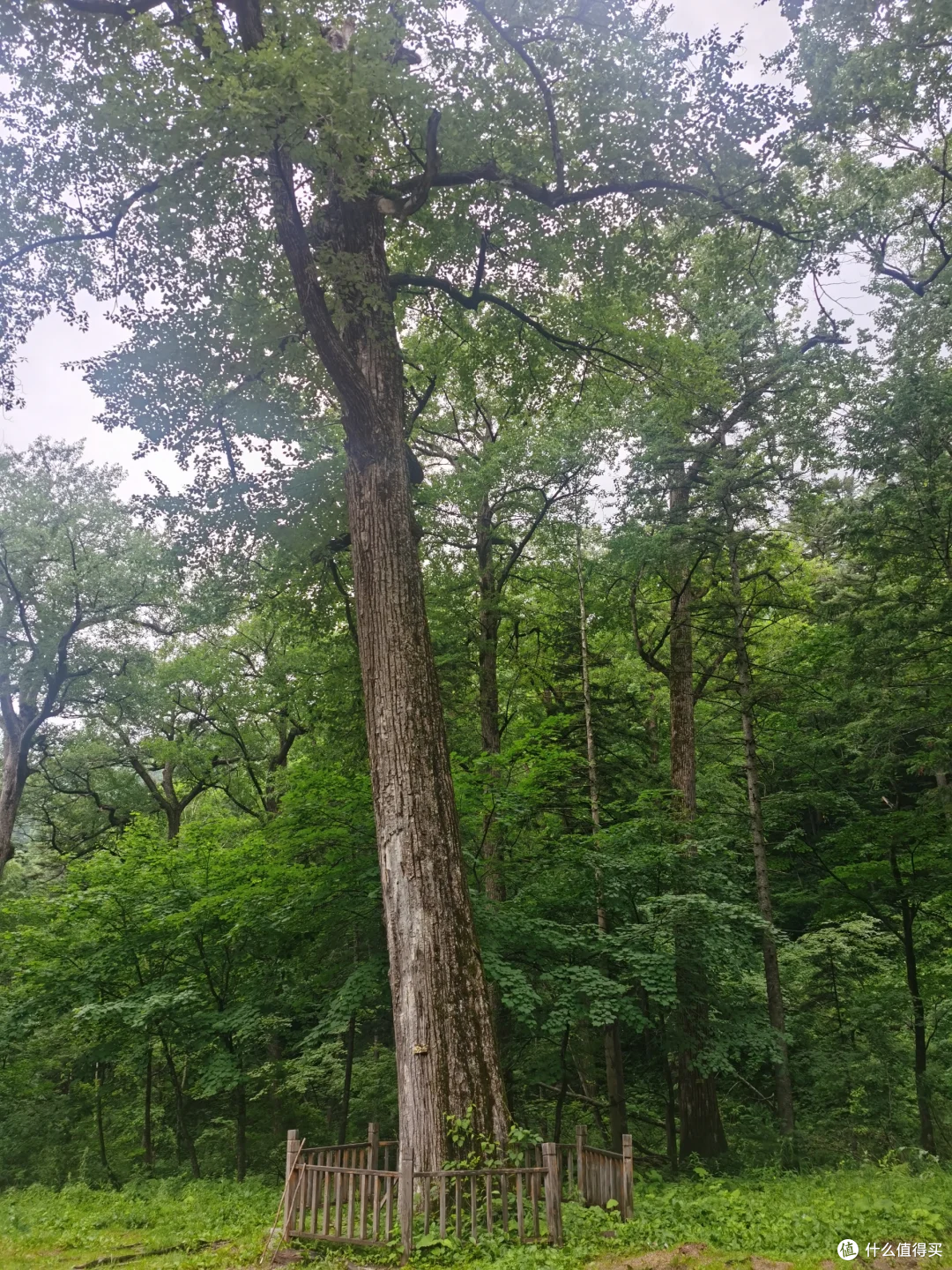 盘点全国著名山川之吉林