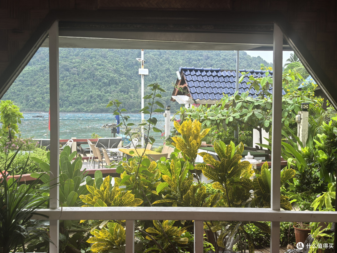coralview餐厅窗外