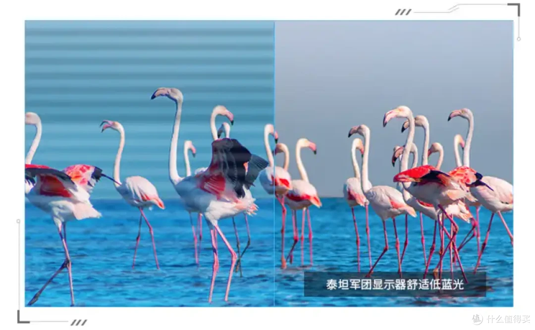 32寸以上 4k 办公显示器选哪个?泰坦军团C32C1UF实测千元性价比很高