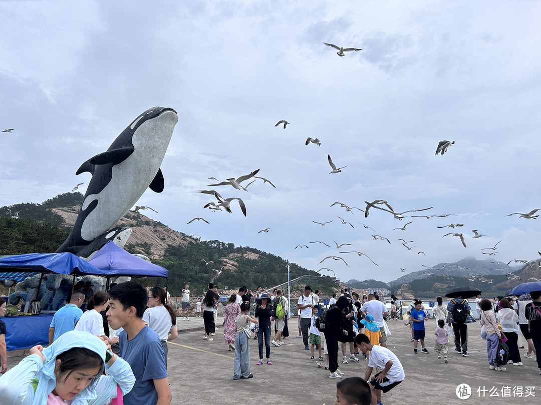 带娃探索山东：济南、威海、烟台6日5晚亲子之旅，保姆级记录分享！