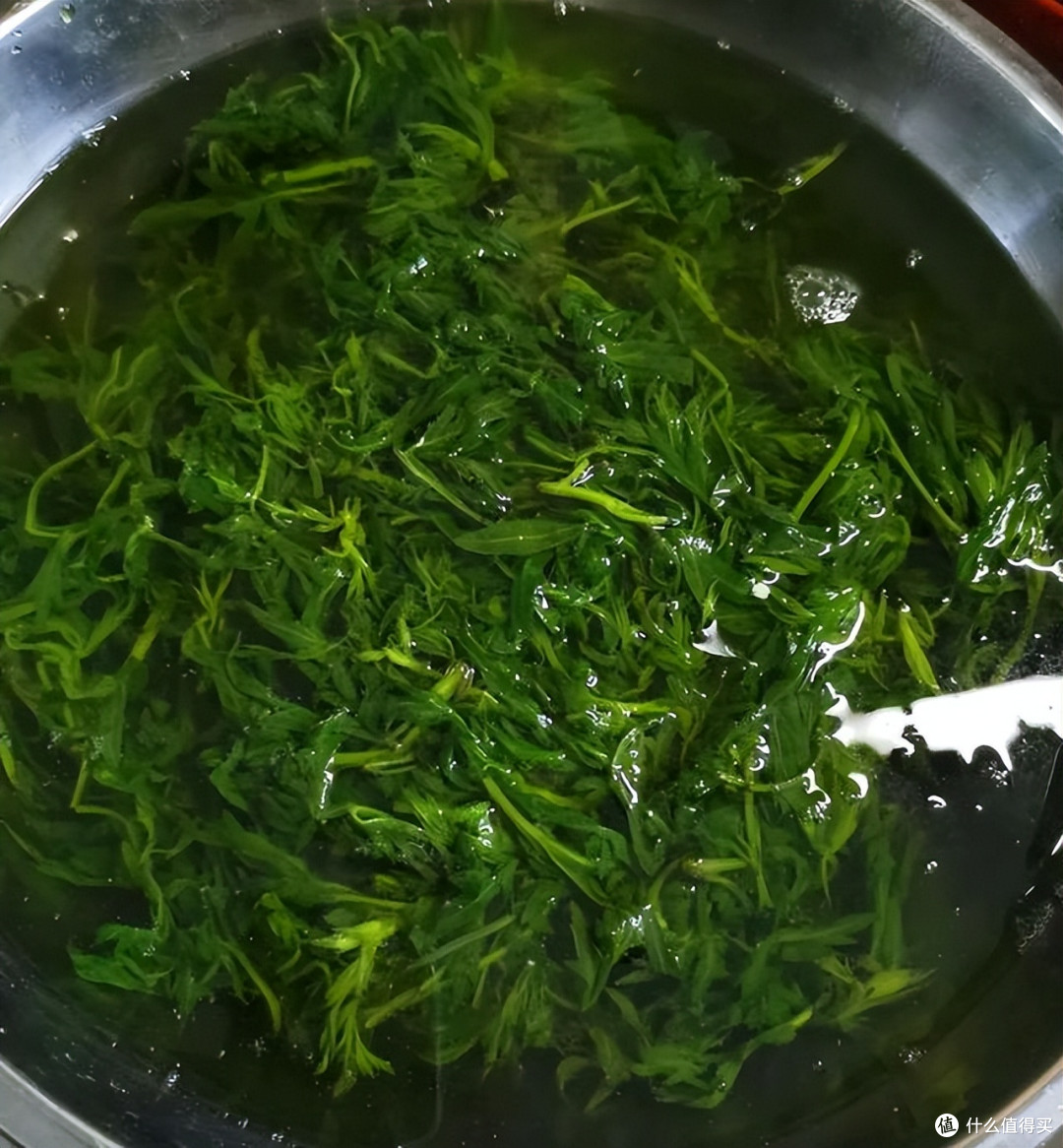 艾草煮陈醋，效果实在太厉害了，解决很多人的烦恼，快回家试试