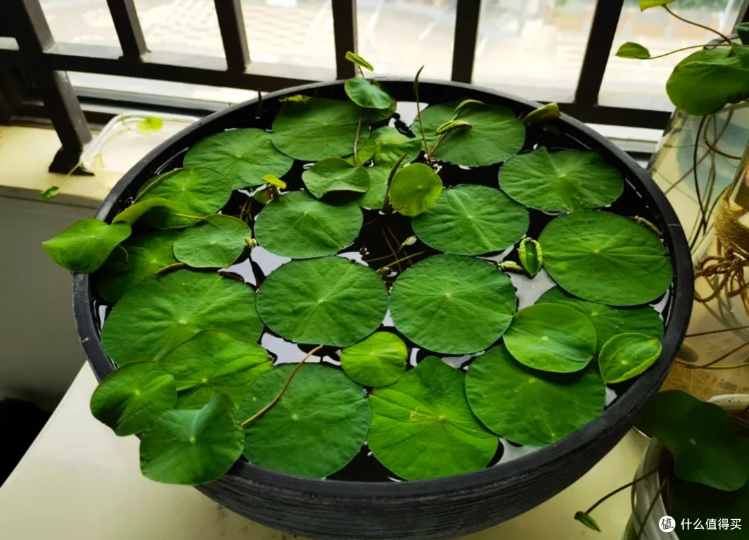 揭秘:那些年我们听过的谎言,个个都是资本家编造的套路