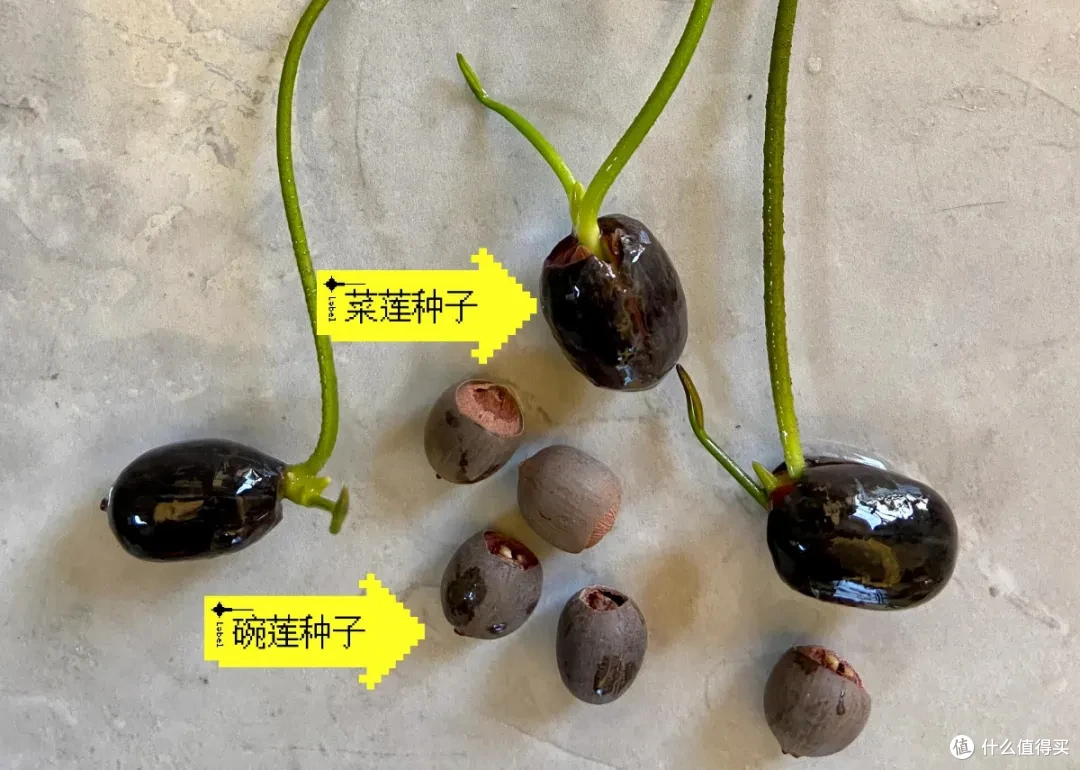 揭秘:那些年我们听过的谎言,个个都是资本家编造的套路