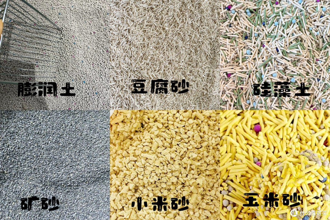 我们小兔真不臭!为什么有人养的臭臭的?来看养兔防臭攻略!