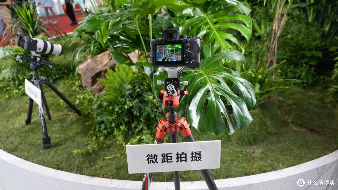 索尼参展P&I 2024:引领数码影像新潮流,共探影像技术无限可能
