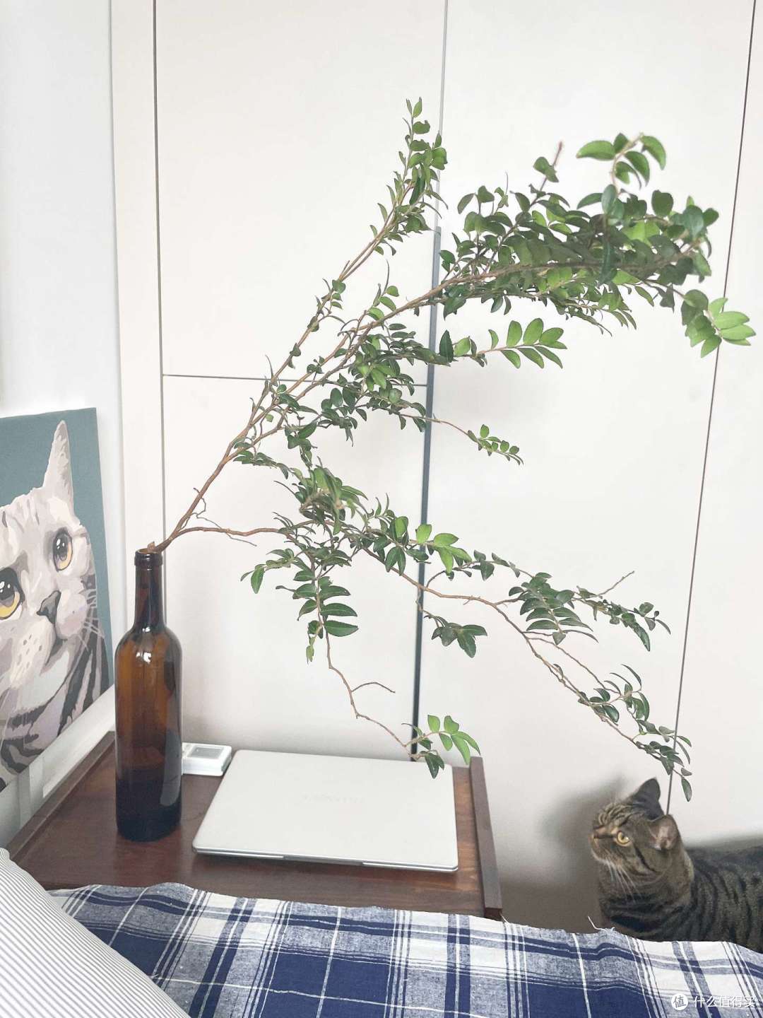 如何不花钱装饰新家?消费降级后,我靠“捡破烂”diy出了彩色的家!