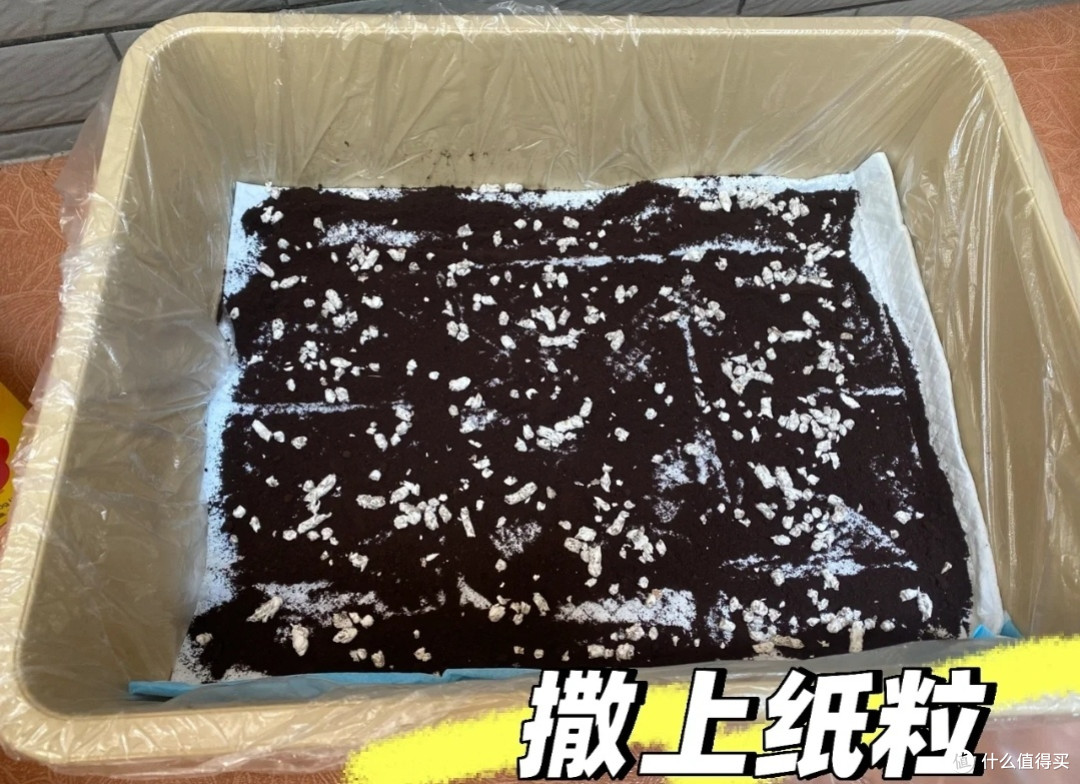 我们小兔真不臭!为什么有人养的臭臭的?来看养兔防臭攻略!