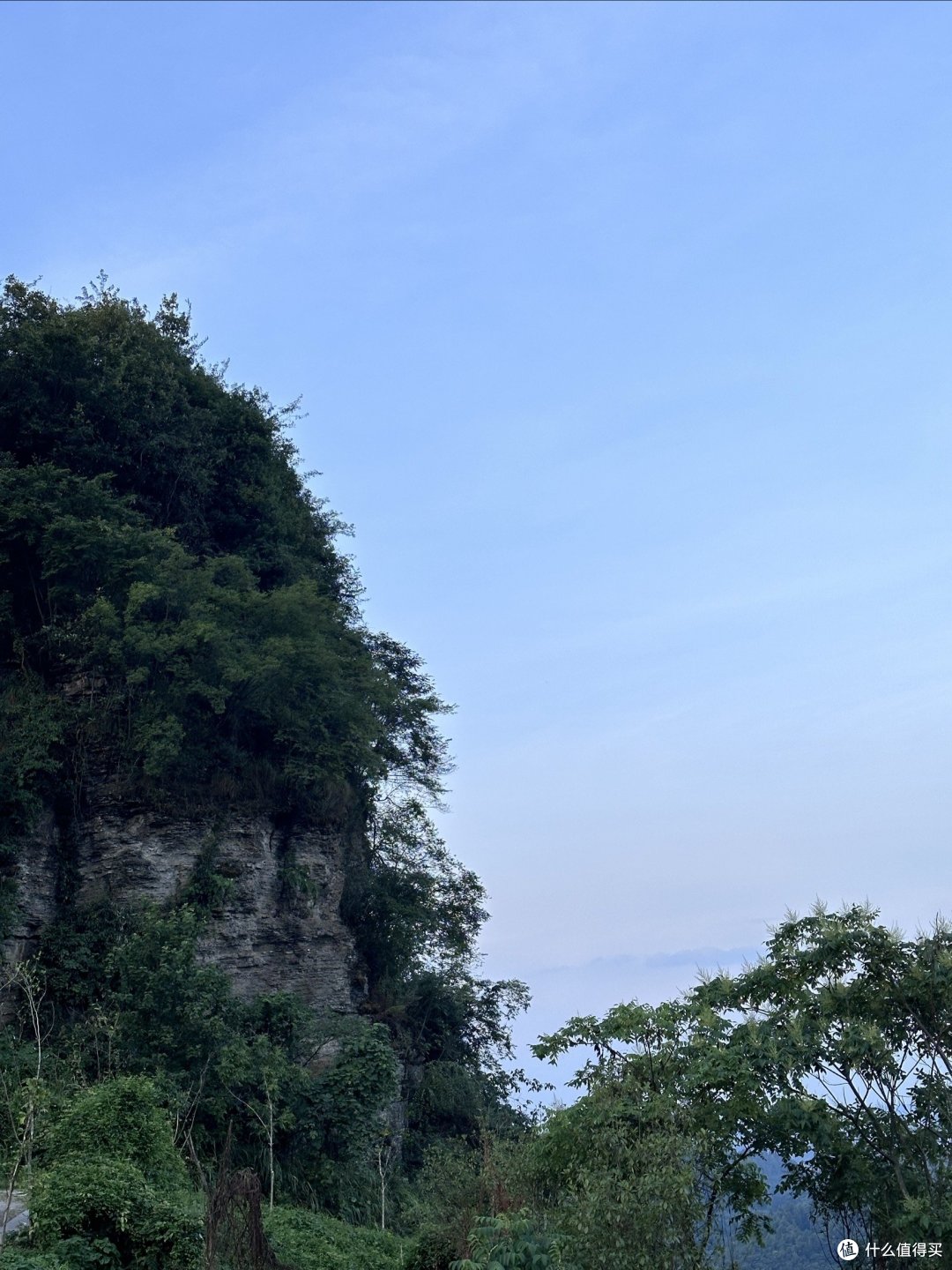旅游小宝藏湄潭
