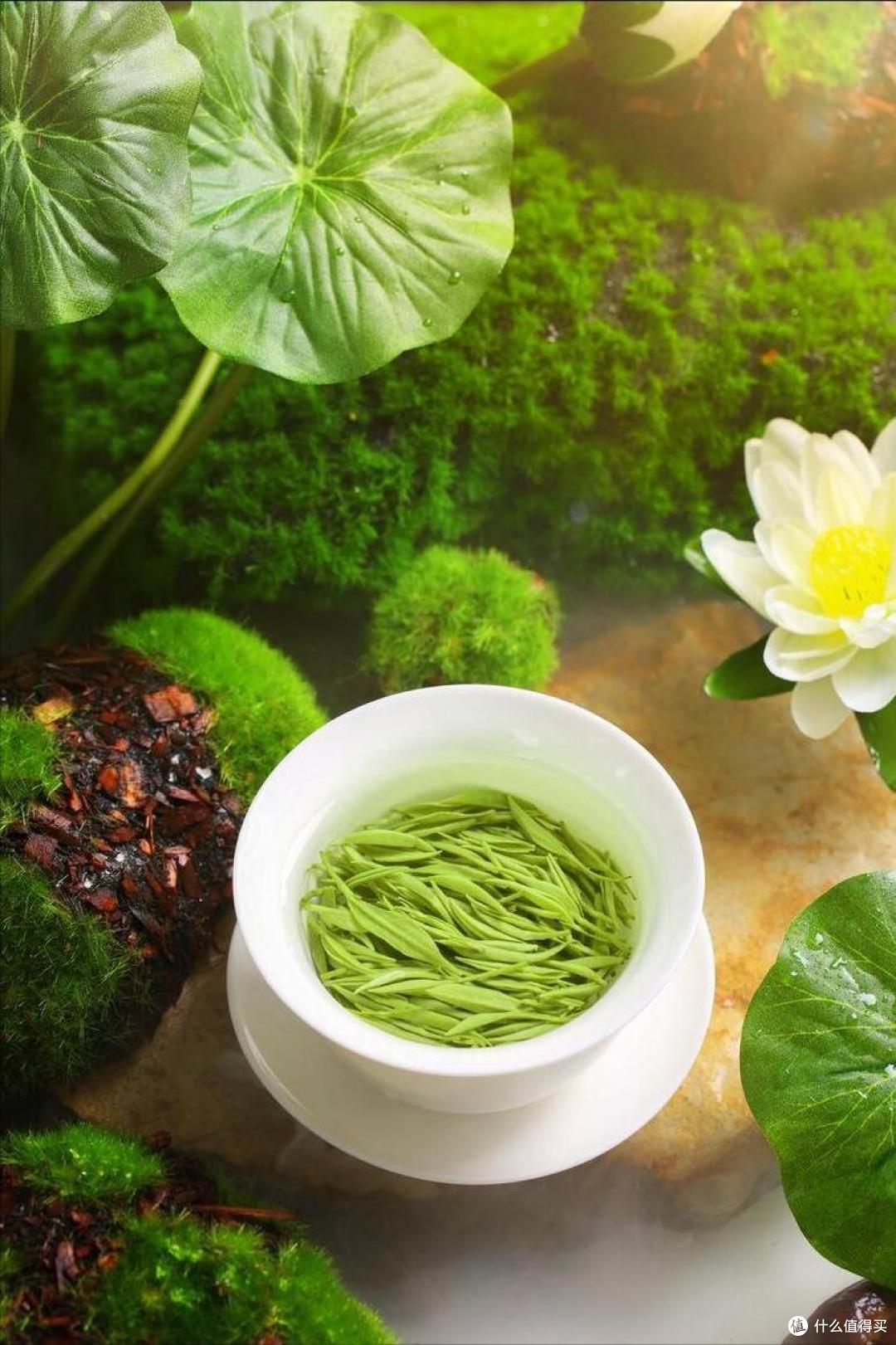中国，什么“绿茶”最好喝？经过评选，这10种上榜，您喝过哪几种