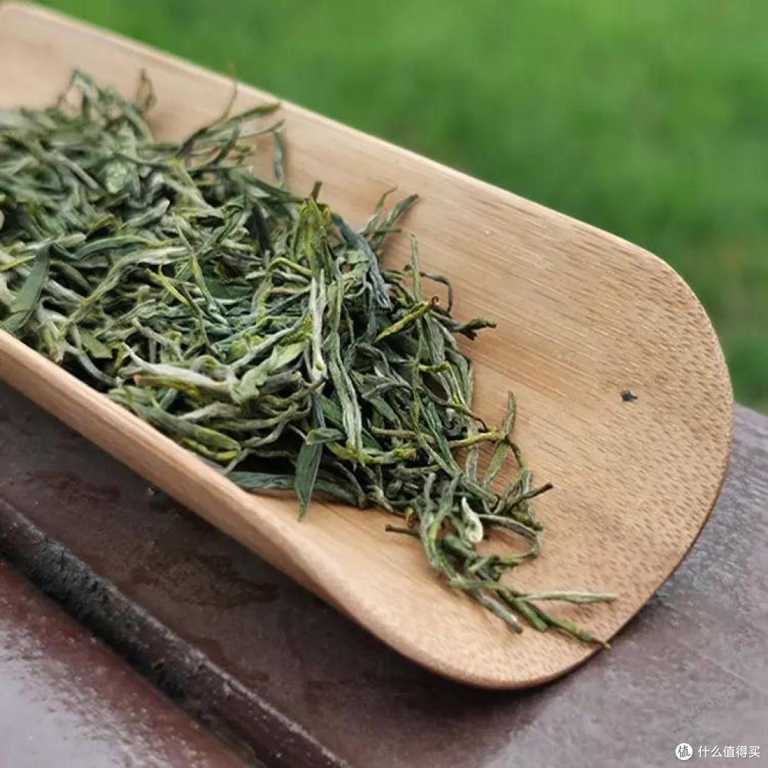 中国，什么“绿茶”最好喝？经过评选，这10种上榜，您喝过哪几种